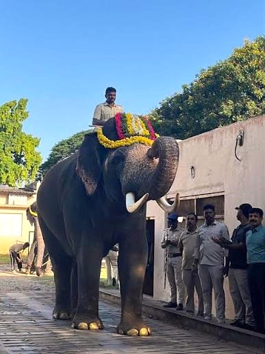 Mysore Dasara Gajpade